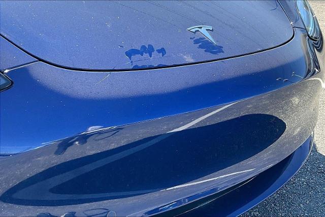 2018 Tesla Model 3 Vehicle Photo in San Antonio, TX 78230