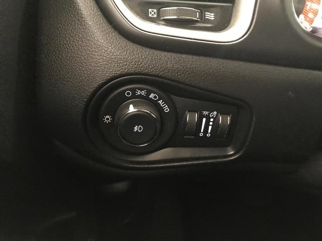 2020 Jeep Renegade Vehicle Photo in GREEN BAY, WI 54303-3330