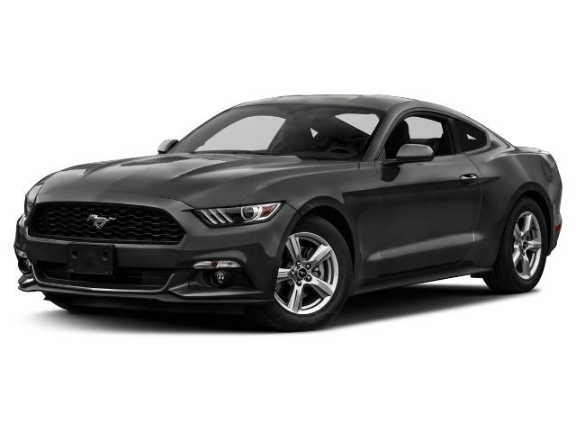 Ford Mustang's photo