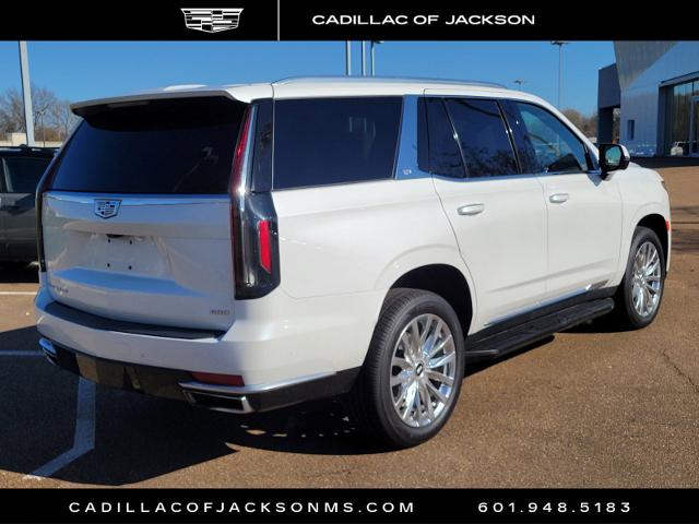 2023 Cadillac Escalade Vehicle Photo in RIDGELAND, MS 39157-4406