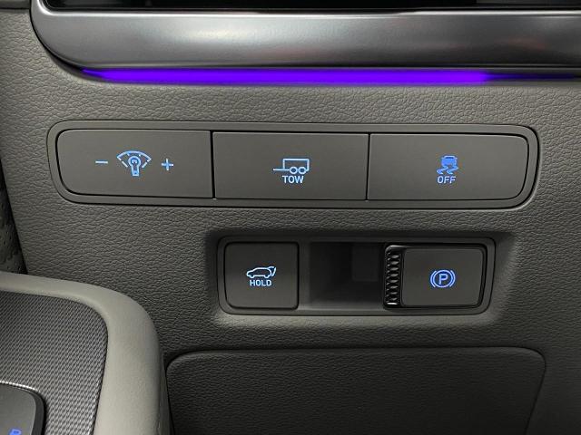 2025 Hyundai PALISADE Vehicle Photo in Appleton, WI 54913