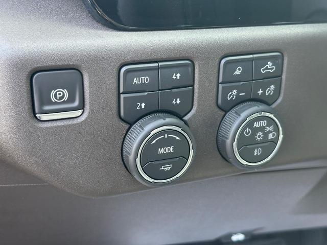 2025 Chevrolet Silverado 1500 Vehicle Photo in COLUMBIA, MO 65203-3903
