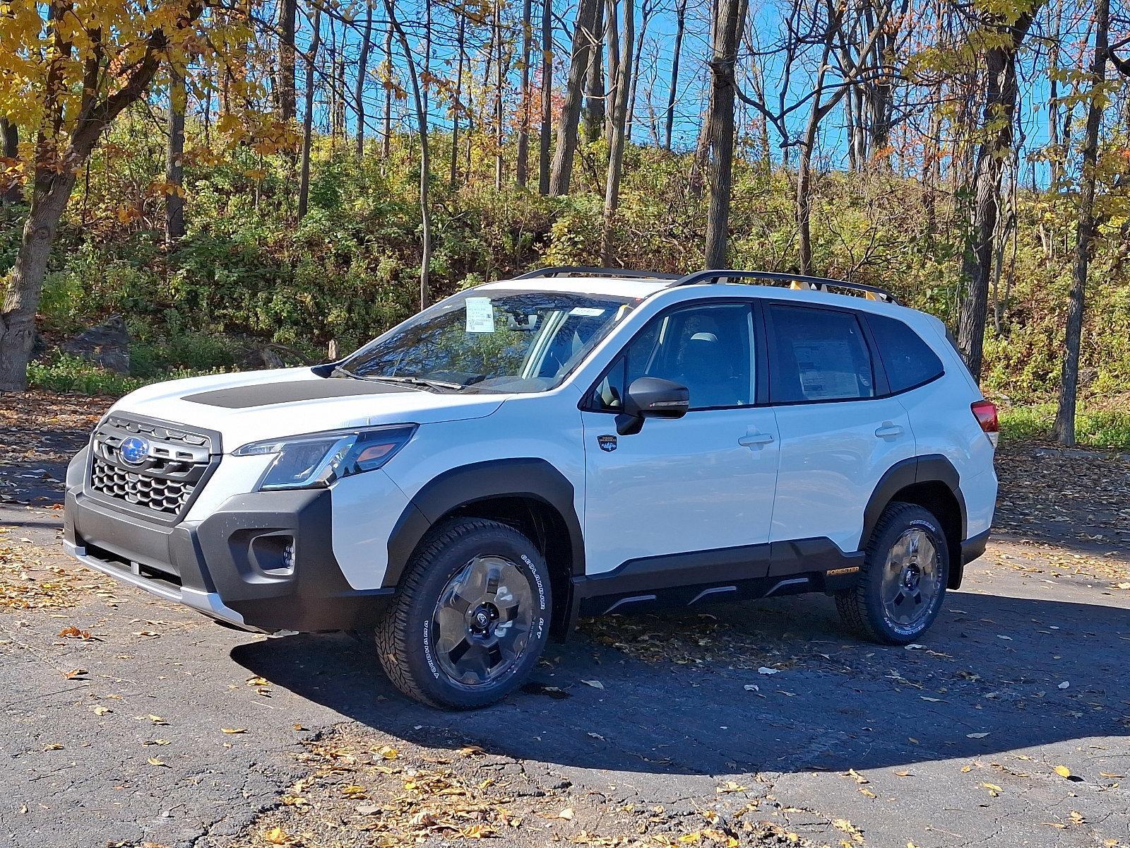2024 Subaru Forester Vehicle Photo in Mechanicsburg, PA 17050