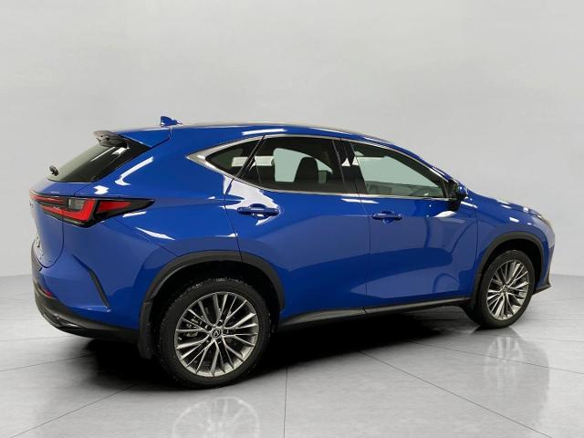 2023 Lexus NX 350 Vehicle Photo in Appleton, WI 54913