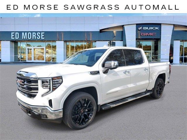 2025 GMC Sierra 1500 Vehicle Photo in SUNRISE, FL 33323-3202