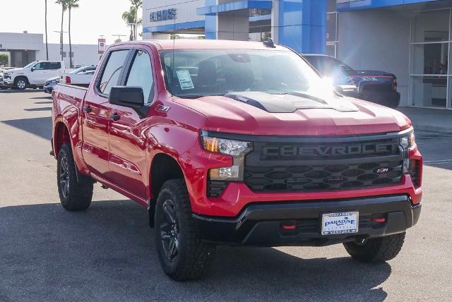 2025 Chevrolet Silverado 1500 Vehicle Photo in VENTURA, CA 93003-8585