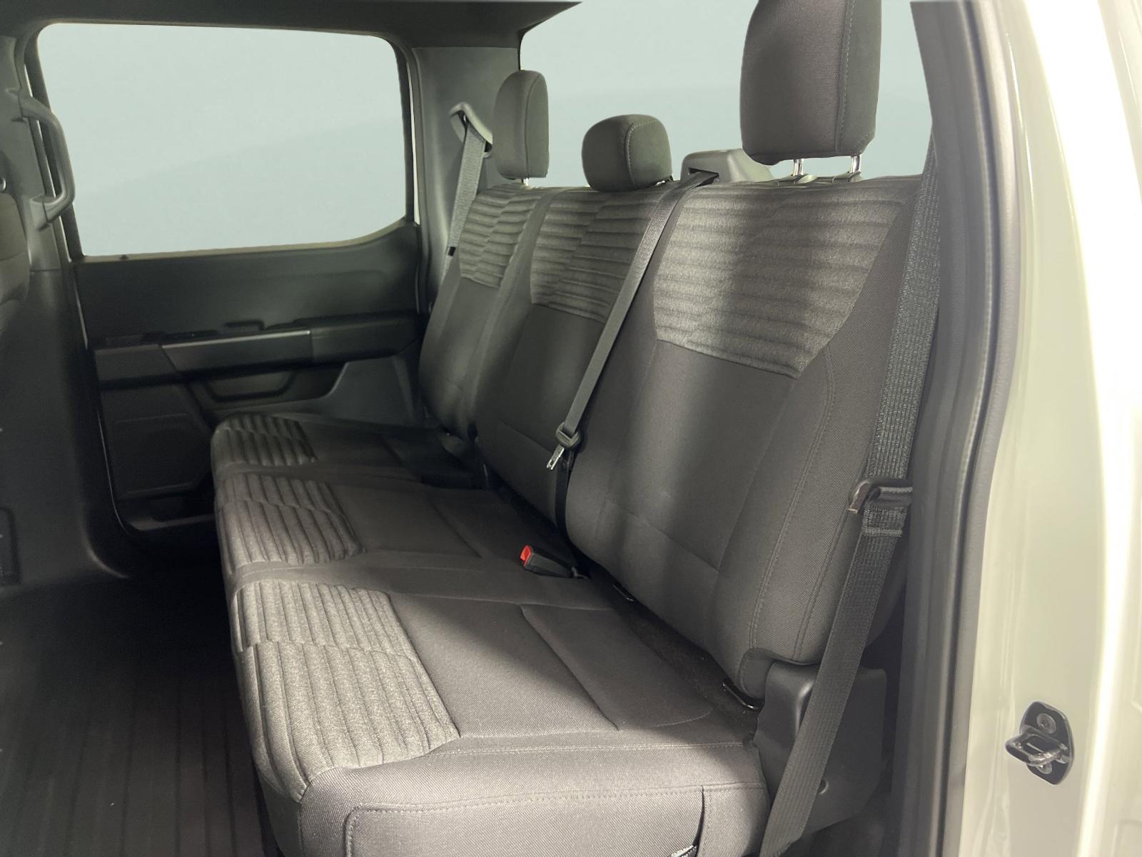 2023 Ford F-150 Vehicle Photo in GEORGETOWN, TX 78626-7508