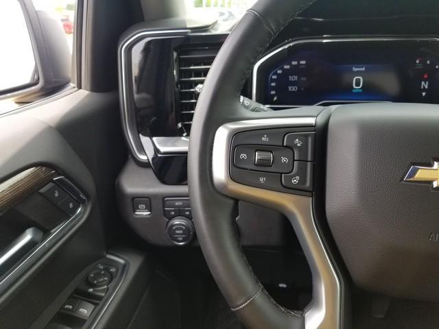 2024 Chevrolet Silverado 1500 Vehicle Photo in ELYRIA, OH 44035-6349