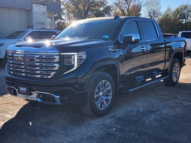 2025 GMC Sierra 1500 Vehicle Photo in PARIS, TX 75460-2116