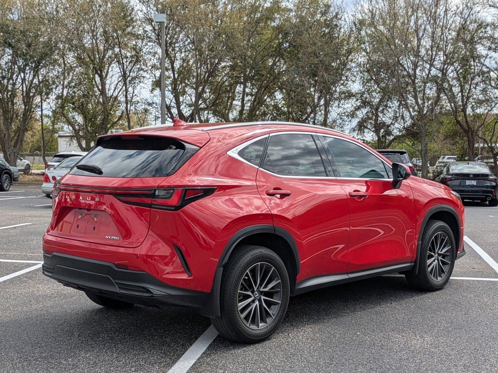 2022 Lexus NX 250 Vehicle Photo in Clearwater, FL 33761