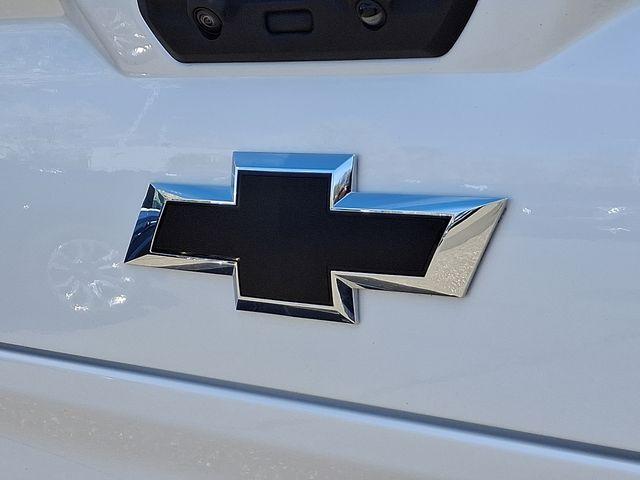 2024 Chevrolet Silverado 1500 Vehicle Photo in DANBURY, CT 06810-5034