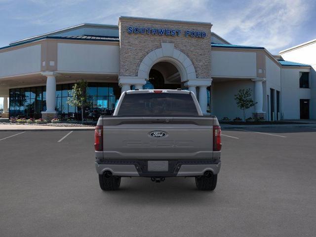 2025 Ford F-150 Vehicle Photo in Weatherford, TX 76087