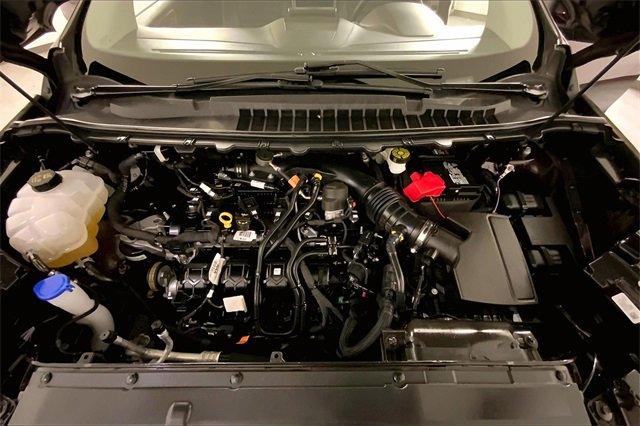 2024 Ford Edge Vehicle Photo in INDEPENDENCE, MO 64055-1314