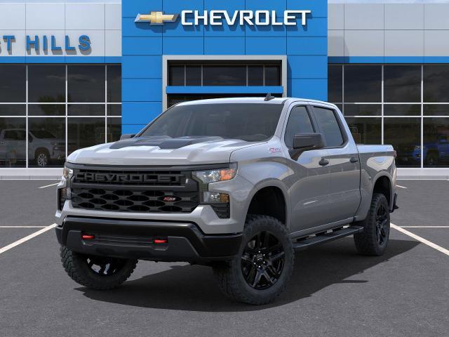 2025 Chevrolet Silverado 1500 Vehicle Photo in Roslyn, NY 11576