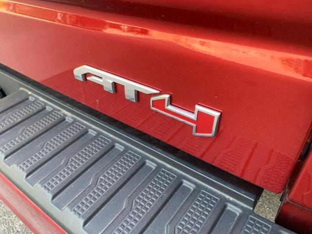 2024 GMC Sierra 1500 Vehicle Photo in Savannah, GA 31419