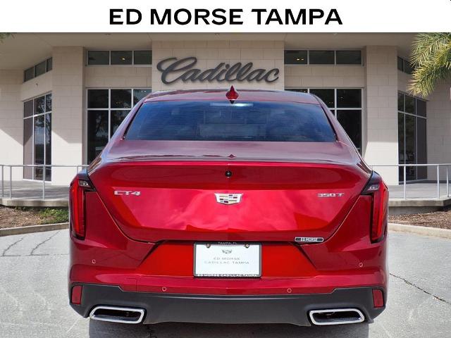 2025 Cadillac CT4 Vehicle Photo in Tampa, FL 33612