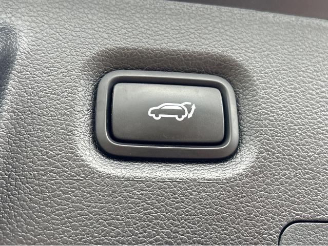 2023 Hyundai SANTA FE Vehicle Photo in BEAUFORT, SC 29906-4218