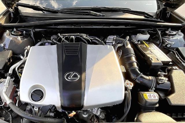 2019 Lexus ES 350 Vehicle Photo in San Antonio, TX 78230