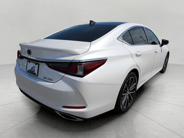 2022 Lexus ES 350 Vehicle Photo in Green Bay, WI 54304