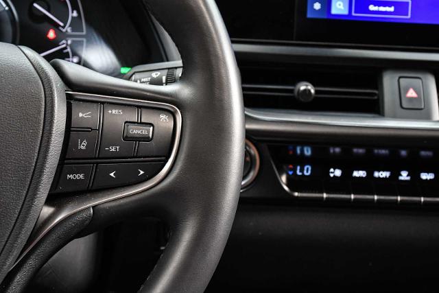 2024 Lexus UX 250h Vehicle Photo in DALLAS, TX 75235