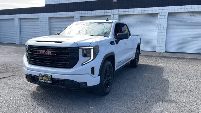 2023 GMC Sierra 1500 Vehicle Photo in TURLOCK, CA 95380-4918