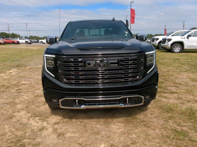 2025 GMC Sierra 1500 Vehicle Photo in ALBERTVILLE, AL 35950-0246