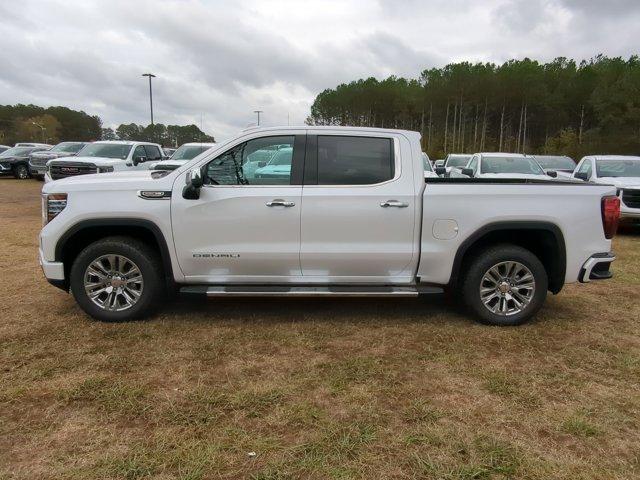 2025 GMC Sierra 1500 Vehicle Photo in ALBERTVILLE, AL 35950-0246