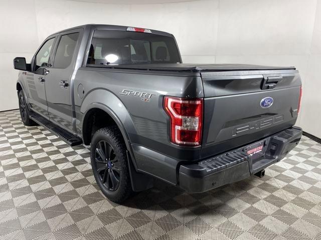 2019 Ford F-150 Vehicle Photo in MEDINA, OH 44256-9001