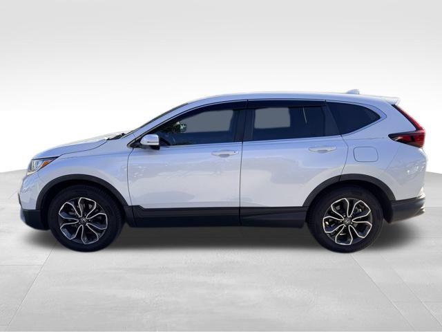 2021 Honda CR-V Vehicle Photo in DELRAY BEACH, FL 33483-3294