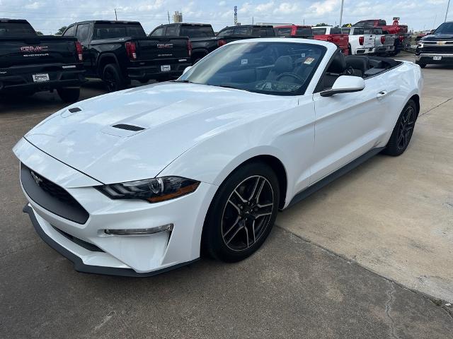 2023 Ford Mustang Vehicle Photo in ROSENBERG, TX 77471-5675