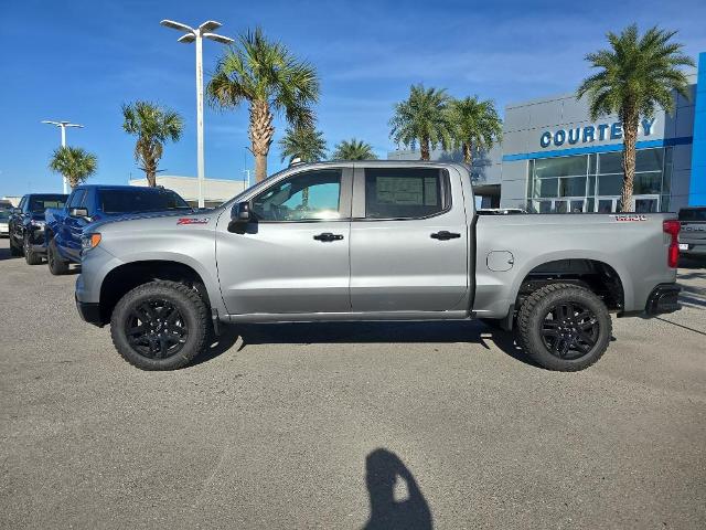 2025 Chevrolet Silverado 1500 Vehicle Photo in BROUSSARD, LA 70518-0000