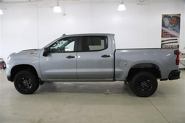 2025 Chevrolet Silverado 1500 Vehicle Photo in MEDINA, OH 44256-9001