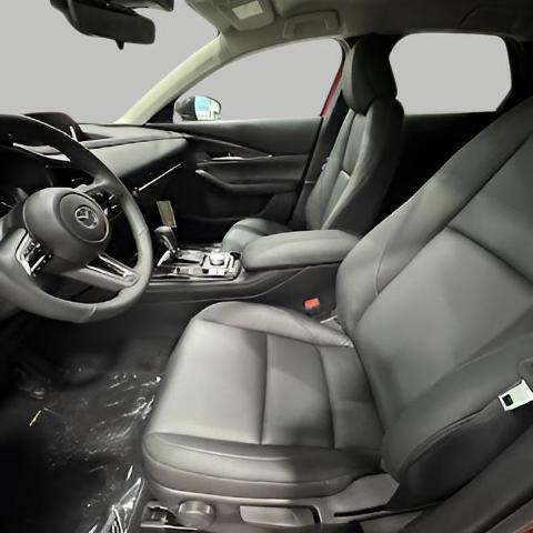 2025 Mazda CX-30 Vehicle Photo in Green Bay, WI 54304