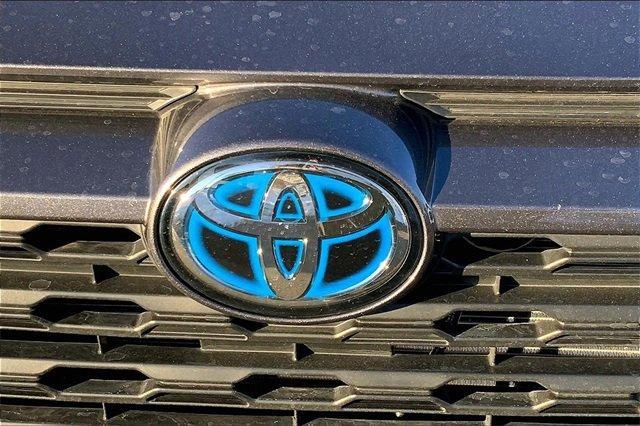 2019 Toyota RAV4 Vehicle Photo in INDEPENDENCE, MO 64055-1377