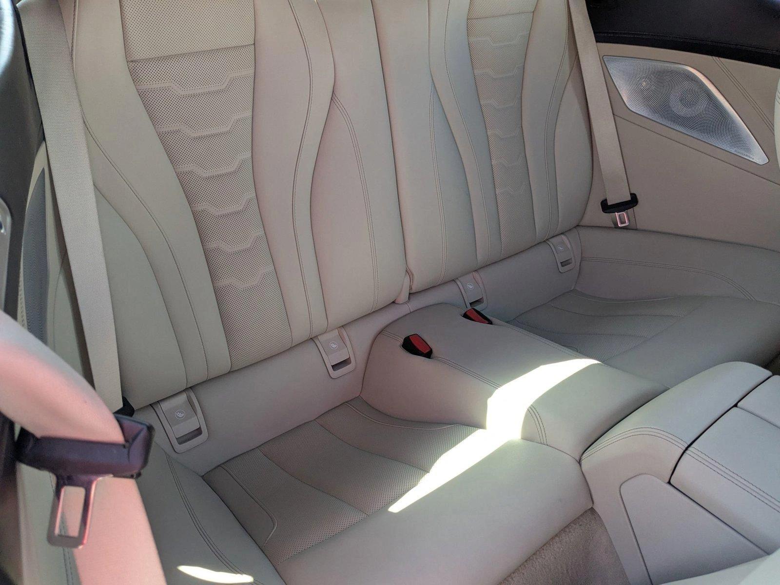 2019 BMW M850i xDrive Vehicle Photo in Wesley Chapel, FL 33544