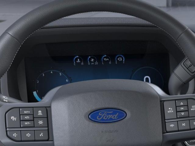 2025 Ford F-150 Vehicle Photo in Oshkosh, WI 54901