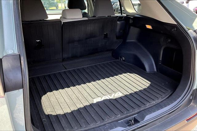 2021 Toyota RAV4 Vehicle Photo in San Antonio, TX 78230