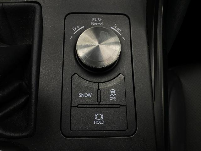 2021 Lexus IS 300 Vehicle Photo in Appleton, WI 54913
