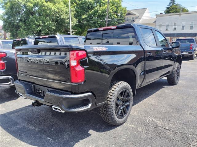 2024 Chevrolet Silverado 1500 Vehicle Photo in INDIANA, PA 15701-1897