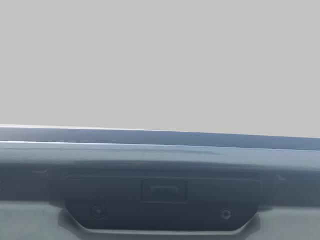 2021 GMC Sierra 1500 Vehicle Photo in GREEN BAY, WI 54303-3330