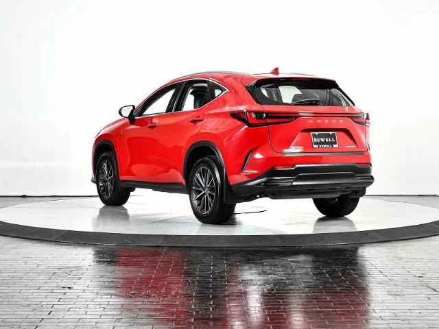 2024 Lexus NX 250 Vehicle Photo in DALLAS, TX 75235