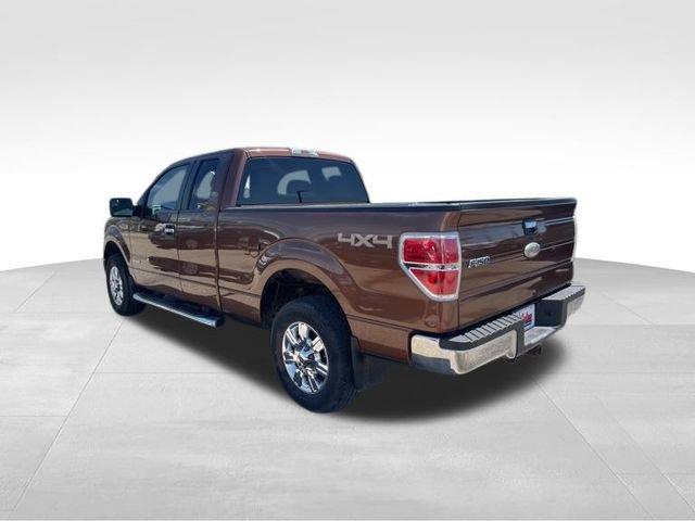 2012 Ford F-150 Vehicle Photo in MEDINA, OH 44256-9631