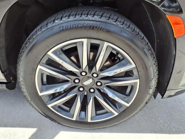 2021 Cadillac Escalade Vehicle Photo in Tampa, FL 33612