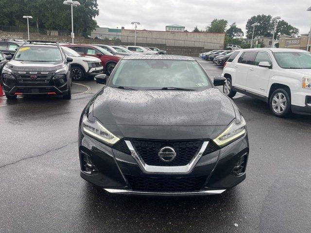 2019 Nissan Maxima Vehicle Photo in Jenkintown, PA 19046