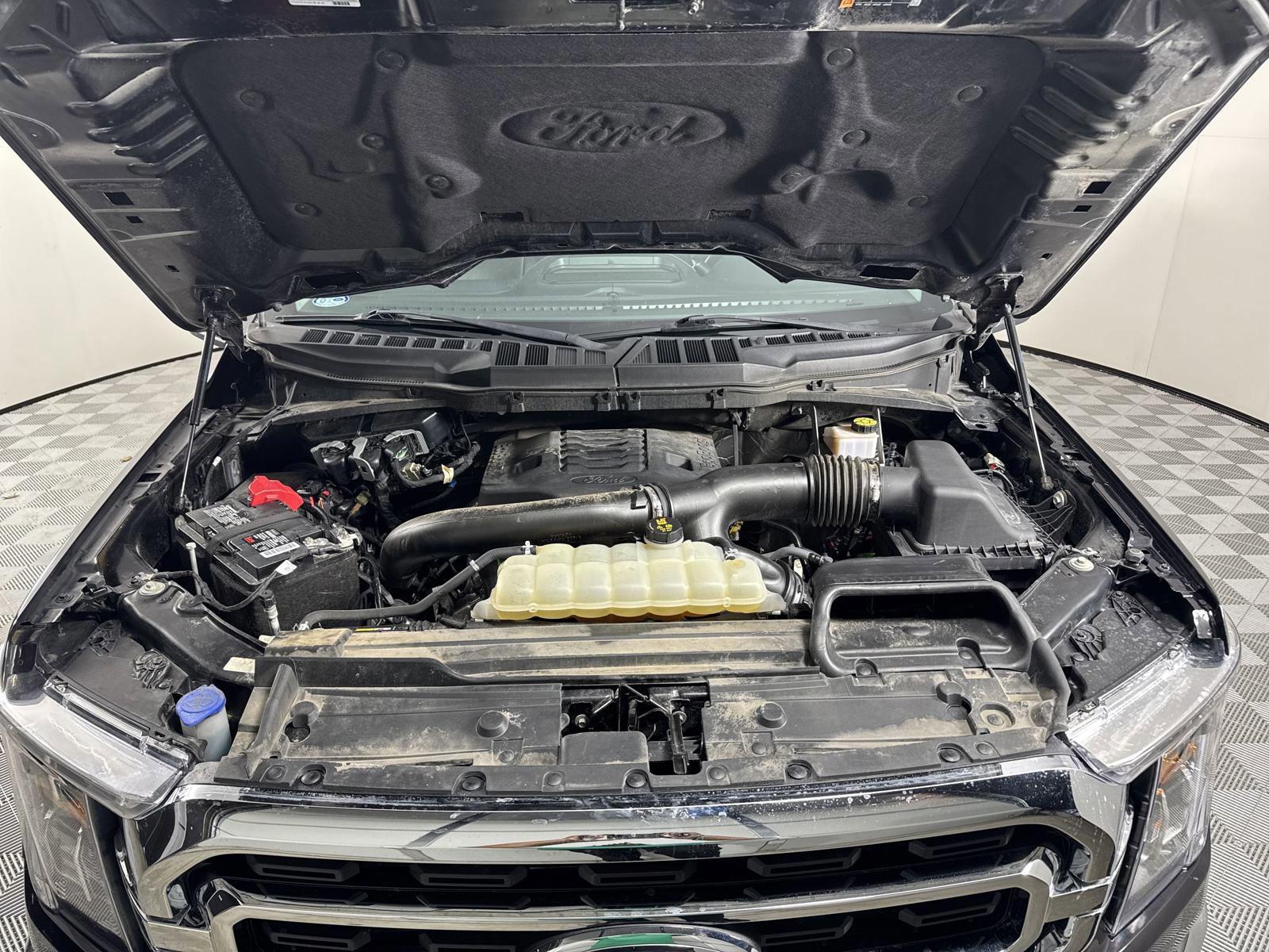 2022 Ford F-150 Vehicle Photo in GEORGETOWN, TX 78626-7508