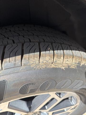 2025 Ford Expedition Max Vehicle Photo in Winslow, AZ 86047-2439