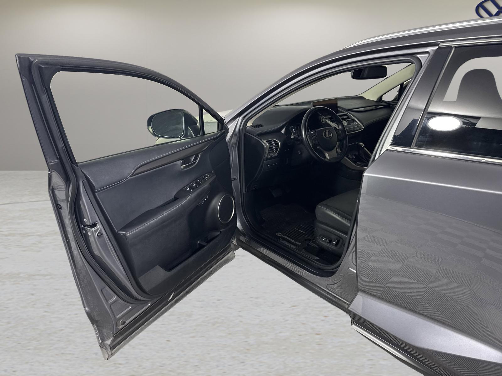 2019 Lexus NX 300 Vehicle Photo in Georgetown, TX 78626