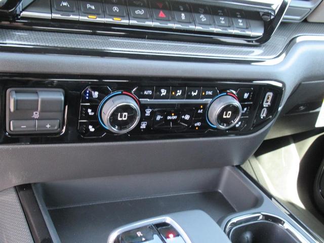 2025 Chevrolet Silverado 1500 Vehicle Photo in LEESBURG, FL 34788-4022