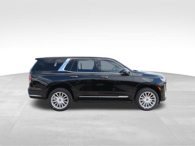 2024 Cadillac Escalade Vehicle Photo in DELRAY BEACH, FL 33483-3294
