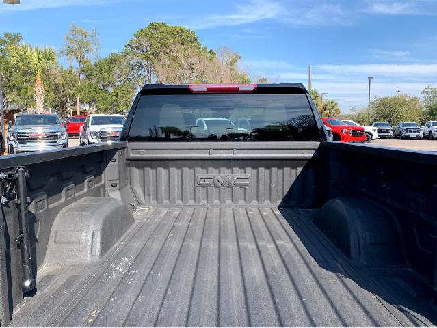 2023 GMC Sierra 1500 Vehicle Photo in BEAUFORT, SC 29906-4218
